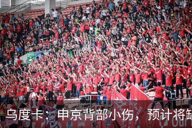 乌度卡：申京背部小伤，预计将缺席几场比赛